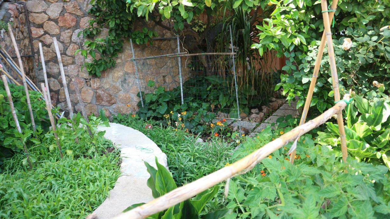 La Casa Di Elba E Mario Appartement Porto Santo Stefano  Buitenkant foto